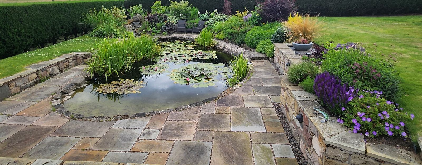 The garden surrounding the therapy room